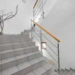Spacious Center Penthouse & Private Rooftop Terrace アパート ブラチスラヴァ