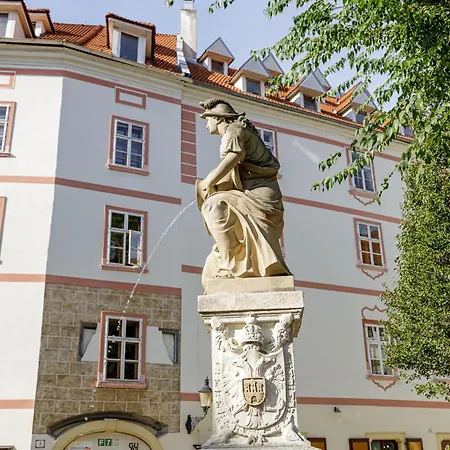 Apartment Arya - Spacious Penthouse Duplex With Rooftop Patio In The Main Square *